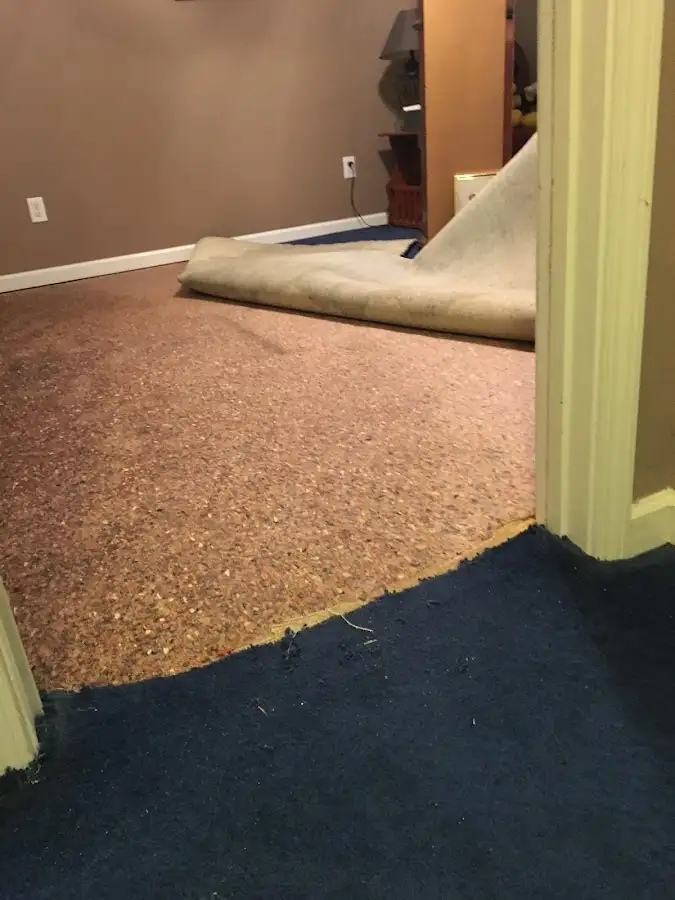 Carpet pad removal revealing water damage during Drying & Dehumidification in Laughlin