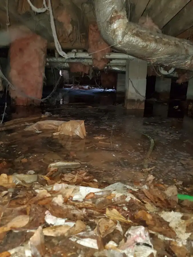 Crawl space flood assessment for Commercial Water Damage Restoration in Laughlin